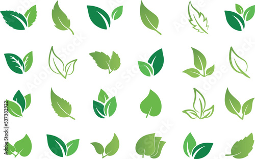 Green leaf vector set with bio and eco,abstract, bio, branch, eco, energy, environment, flora, foliage, fresh, garden, green, health, icon, isolated, leaf, logo, natural, organic, plant, set, sign