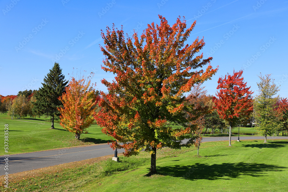 Naklejka premium Fall landscape north america Quebec province Canada