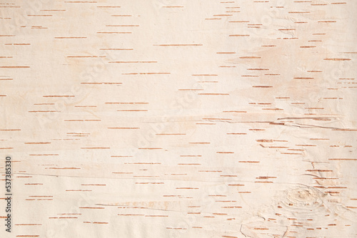 The texture of birch bark. Background of birch bark. Red birch bark. The texture of white birch bark.