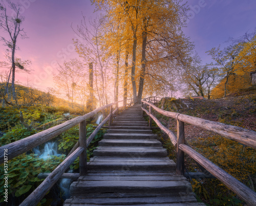 Wooden stairs in forest at sunset in autumn. Plitvice Lakes  Croatia. Colorful landscape with path in park  steps  yelllow trees  water lilies  river  pink sky in fall. Trail in woods. Nature