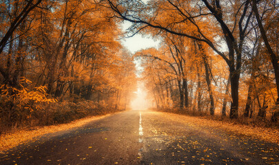 Red forest in fog with country road at sunset in autumn in Ukraine. Colorful landscape with road in tunnel of foggy trees, orange leaves in fall. Autumn colors. Woods with vibrant foliage and sunlight