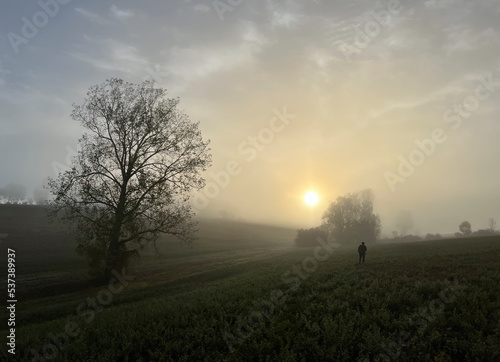 chasseur au lev   du soleil avec une brume matinale 