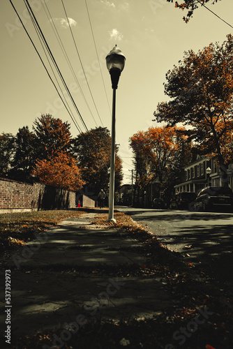 Street light in Autumn, NY