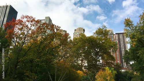 Central Park in autumn season with surrounding skyscrapers