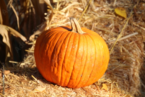 October Of The Pumpkin