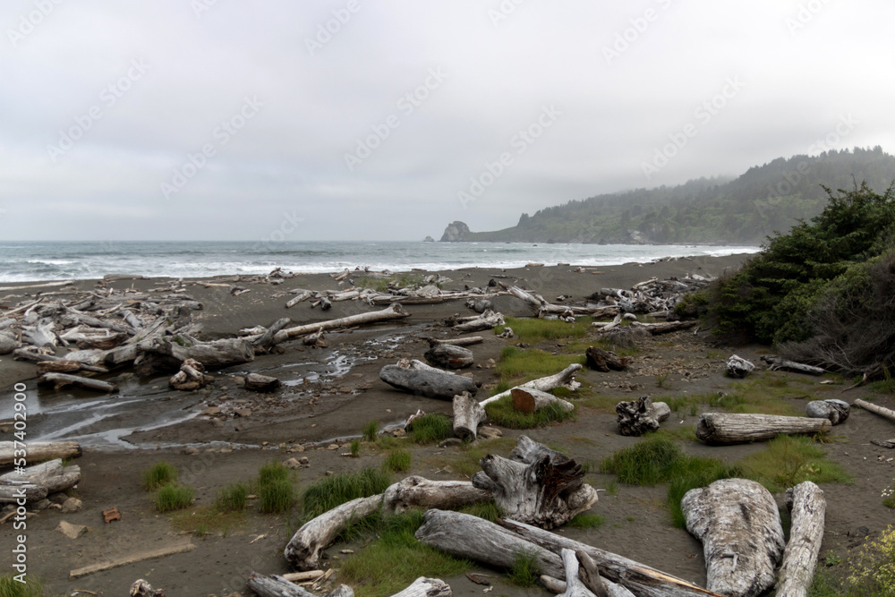 Logs washed up on shore at beach in Redwood State and National Parks