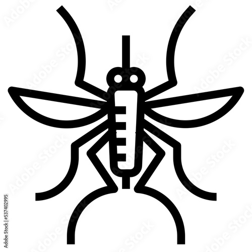 insect