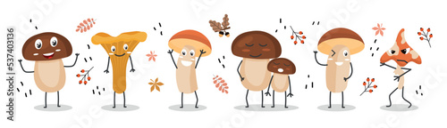 Set of mushrooms