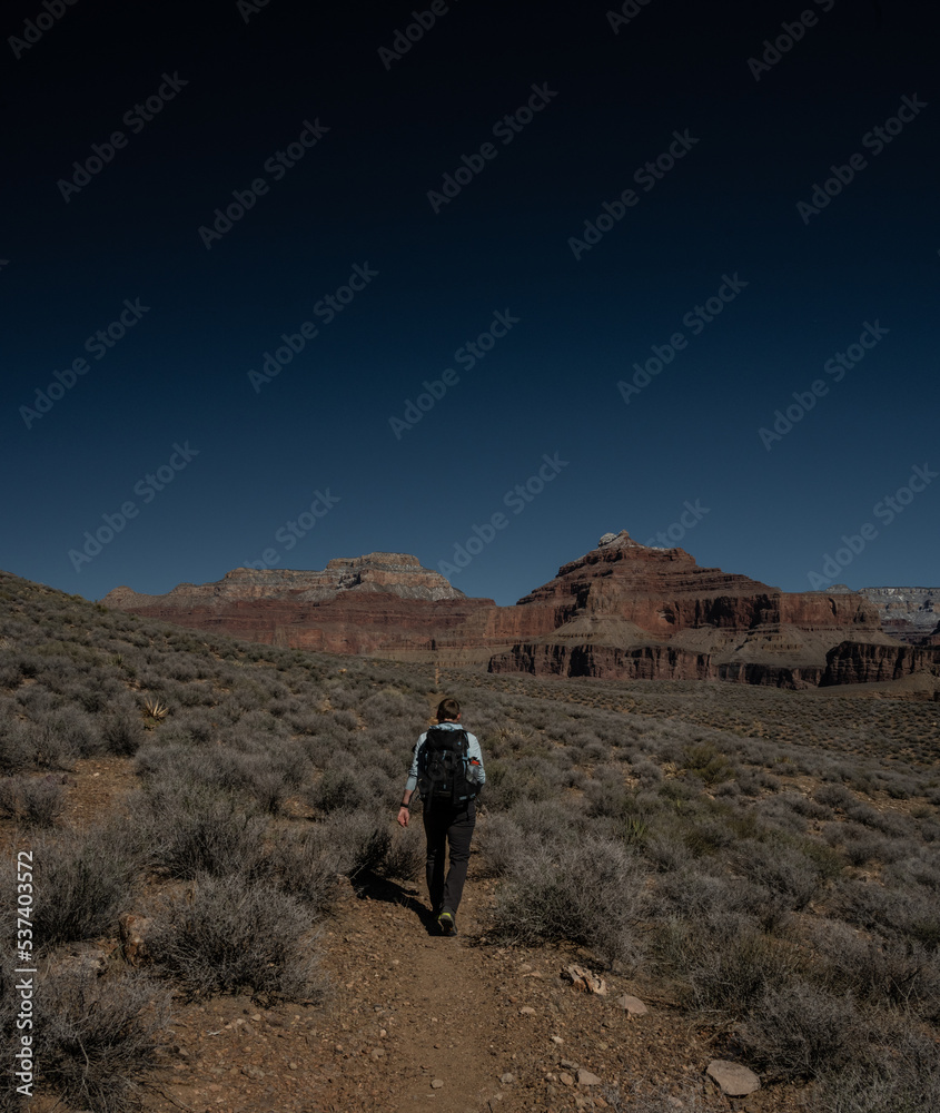 Male HIker From Behind Along Tonto Trail In Grand Canyon