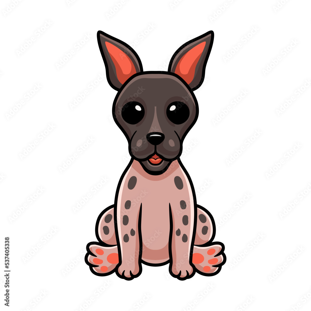 Cute american hairless terrier cartoon Cute american hairless terrier cartoon