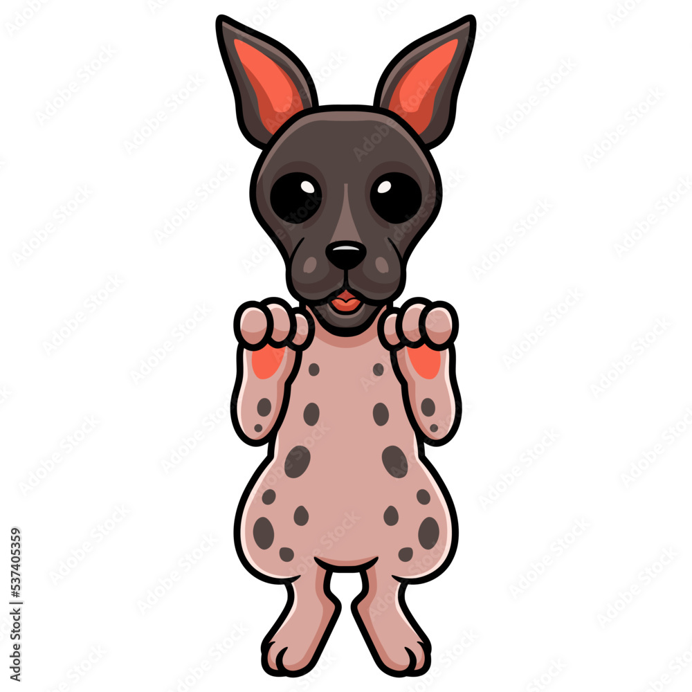 Cute american hairless terrier cartoon Cute american hairless terrier cartoon