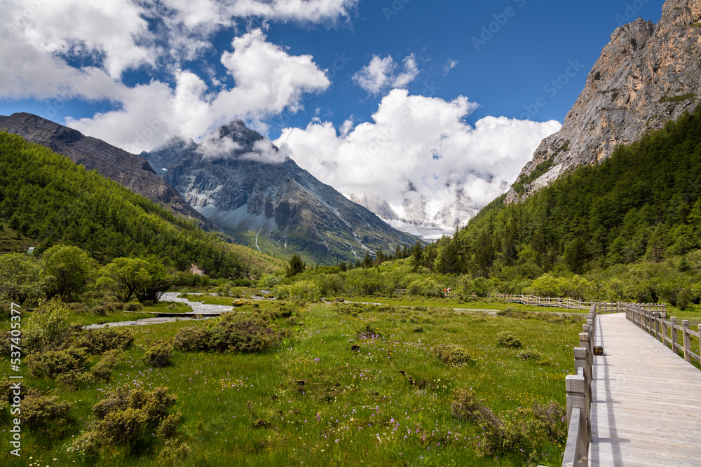 Summer landscape at Chonggu pasture in Yading national level reserve with wooden path, Daocheng, Sichuan Province, China. Horizontal image with copy space