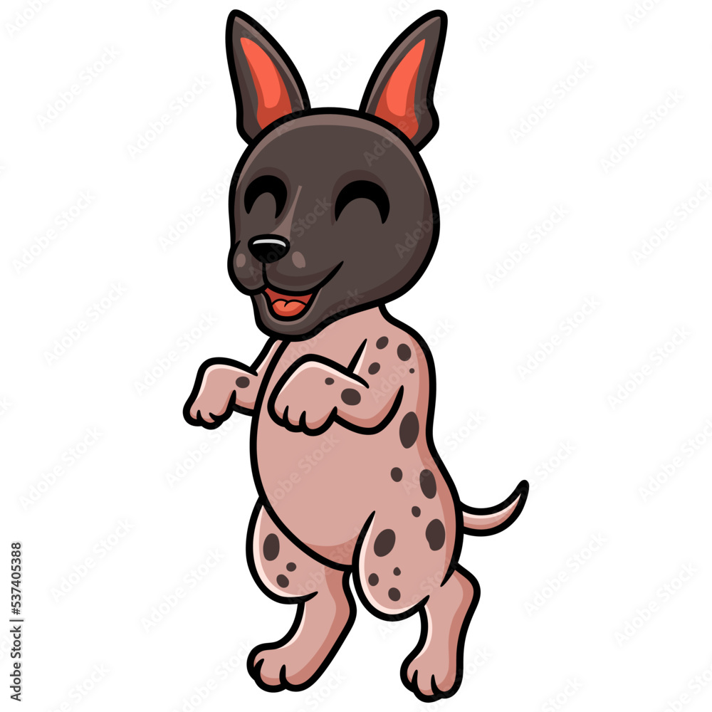 Cute american hairless terrier cartoon Cute american hairless terrier cartoon
