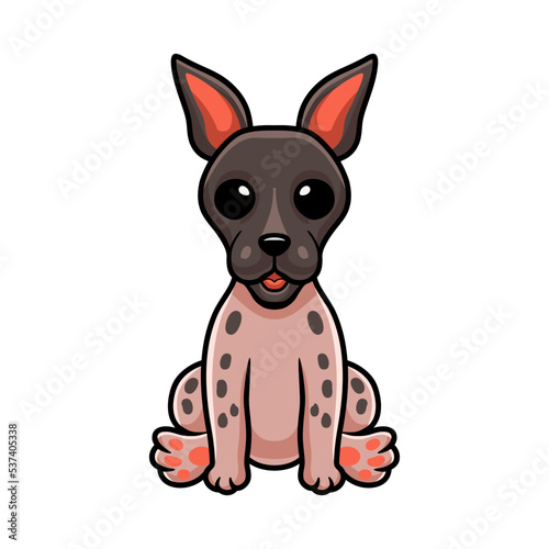 Cute american hairless terrier cartoon