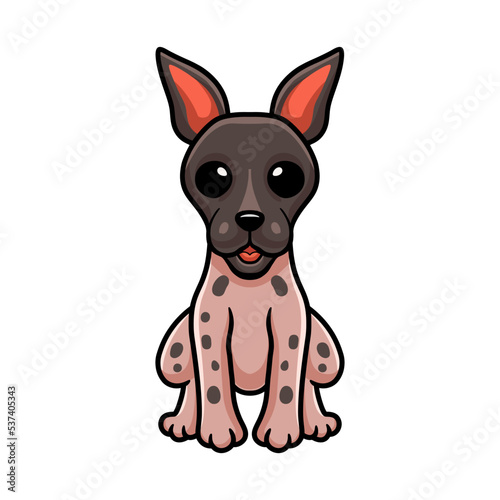 Cute american hairless terrier cartoon