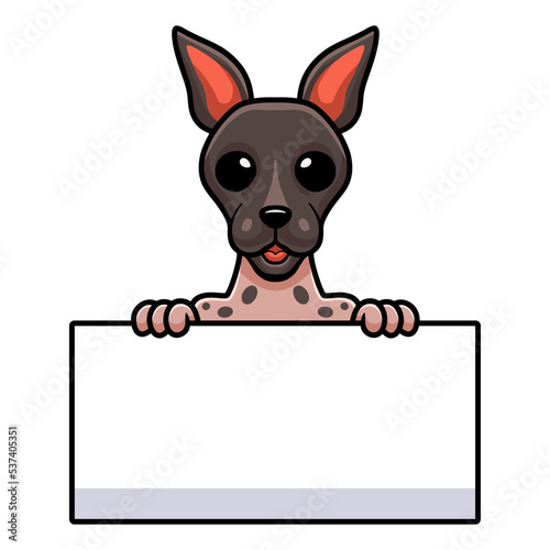 Cute american hairless terrier cartoon holding blank sign