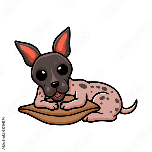 Cute american hairless terrier cartoon on the pillow