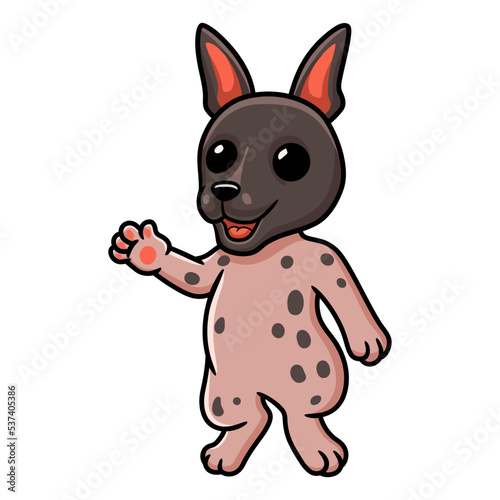 Cute american hairless terrier cartoon