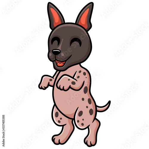 Cute american hairless terrier cartoon