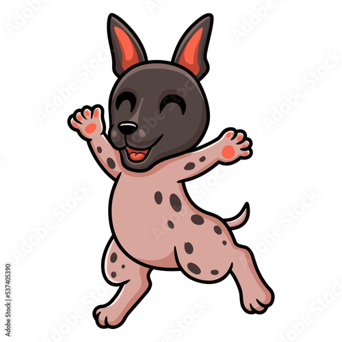 Cute american hairless terrier cartoon