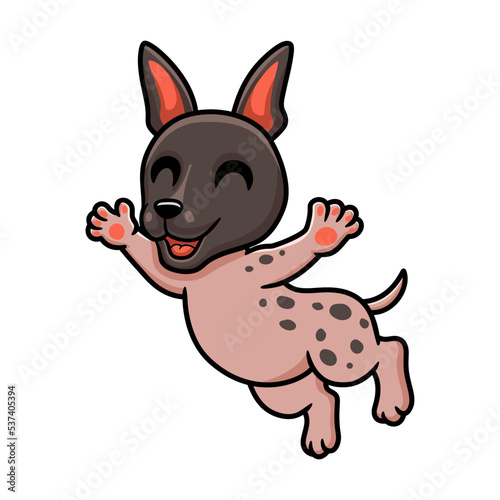 Cute american hairless terrier cartoon posing