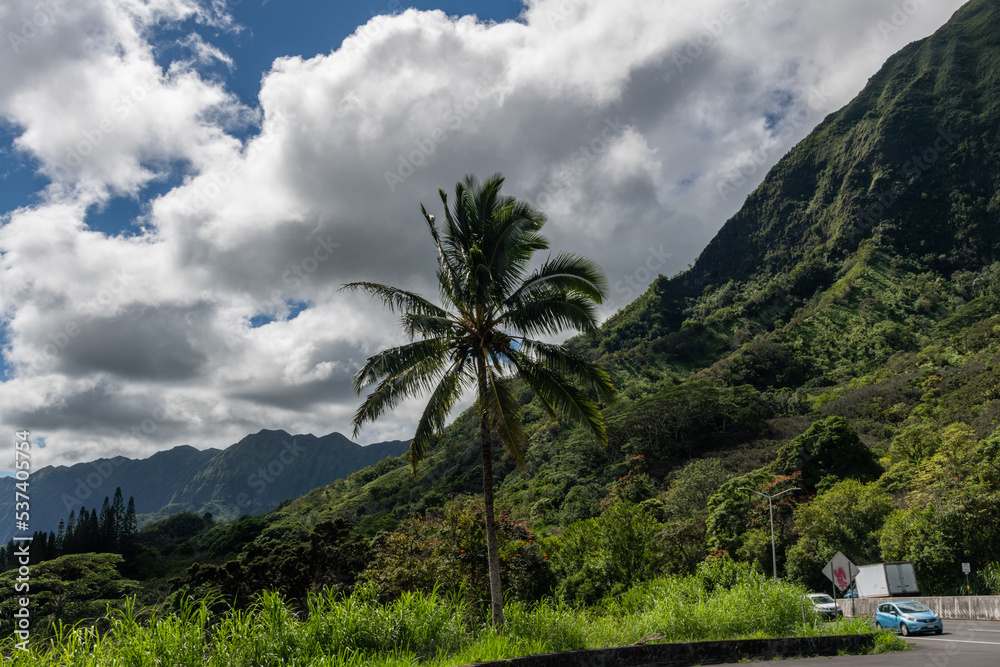Fototapeta premium Scenic tropical vista along the Pali Highway on the north east part of Oahu, Hawaii