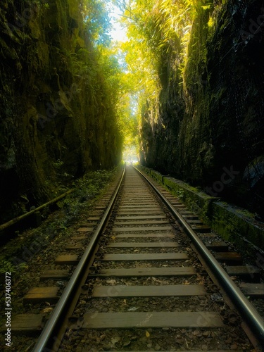 railway in the forest photo