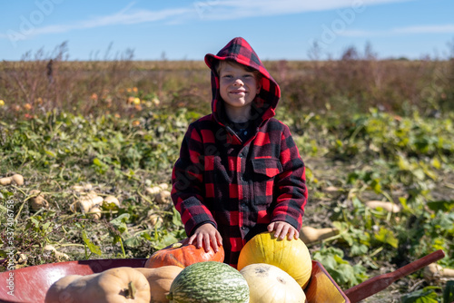 Garçon cueillant des citrouilles et courges dans un champ à l'automne