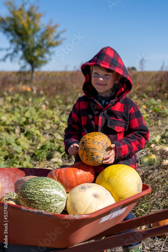 Garçon cueillant des citrouilles et courges dans un champ à l'automne photo