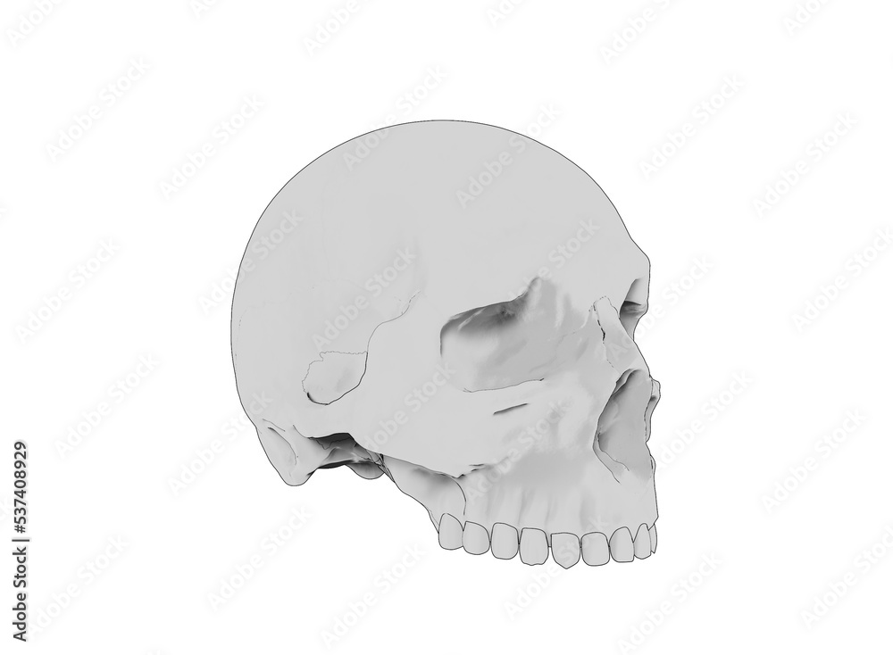Obraz premium Toon skull