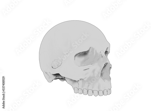 Toon skull