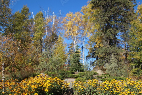 Autumn Day In The Garden, U of A Botanic Gardens, Devon, Alberta