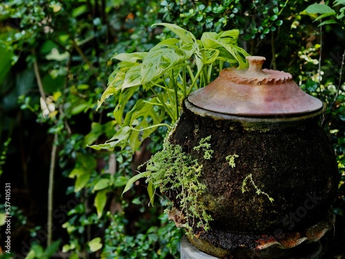 Pottery with moss and leaves attached.