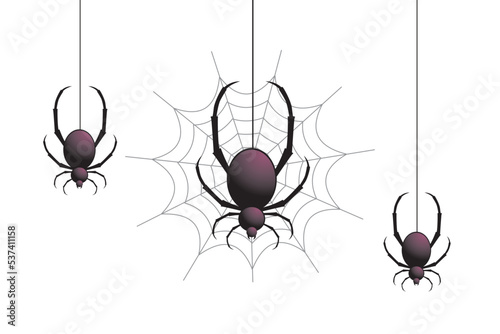 Spider web. Hand drawn cobweb. Spooky Halloween vector illustration