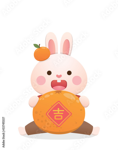 Cute rabbit character or mascot with tangerine, Chinese lunar new year elements, year of the rabbit, vector cartoon style, Chinese translation: auspicious