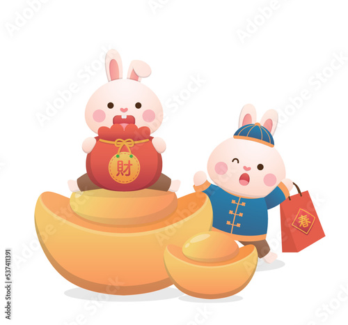 Cute rabbit character or mascot with Chinese lunar new year gold ingot elements, year of the rabbit, vector cartoon style, Chinese translation: money
