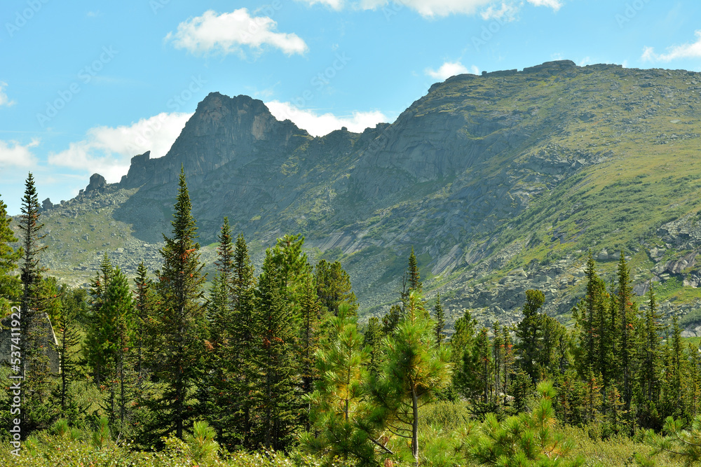 Looking through the tops of pine trees at a high mountain range under a cloudy summer sky. Looking through the tops of pine trees at a high mountain range under a cloudy summer sky.