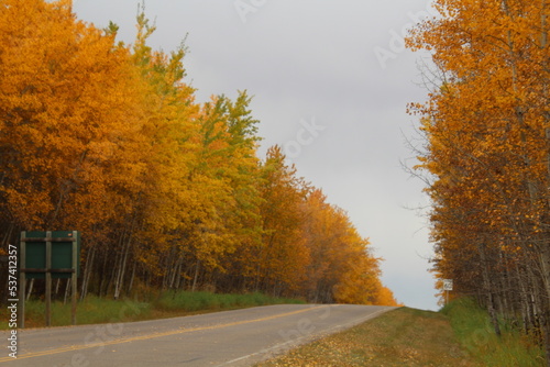 Autumn Along The Parkway  Elk Island National Park  Alberta