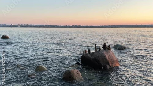 Stones lined up against the background of the ocean Stanley Park Vancouver Canada Pacific Ocean Calm on the water sunset on the pacific ocean stanley park vancouver canada photo