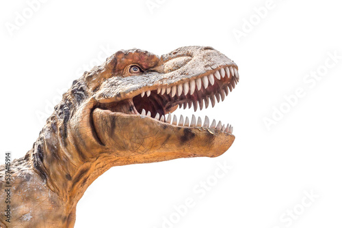 Tyrannosaurus rex dinosaur isolated