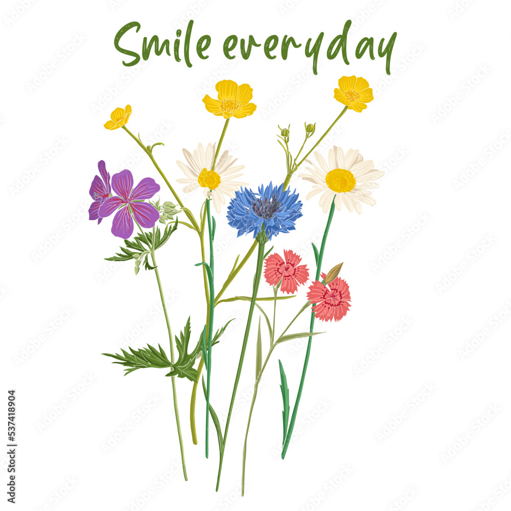 Smile everyday slogan and bouquet of field flowers, vector drawing wild plants at white background, flowering meadow print, hand drawn botanical illustration