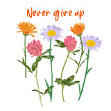Never give up slogan and bouquet of field flowers, vector drawing wild plants at white background, flowering meadow print, hand drawn botanical illustration