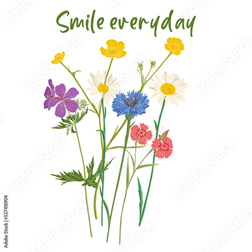 Smile everyday slogan and bouquet of field flowers, vector drawing wild plants at white background, flowering meadow print, hand drawn botanical illustration © cat_arch_angel