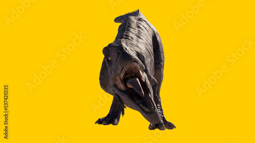 Carnivorous and roaring Giganotosaurus dinosaur isolated on yellow blank background © akiratrang