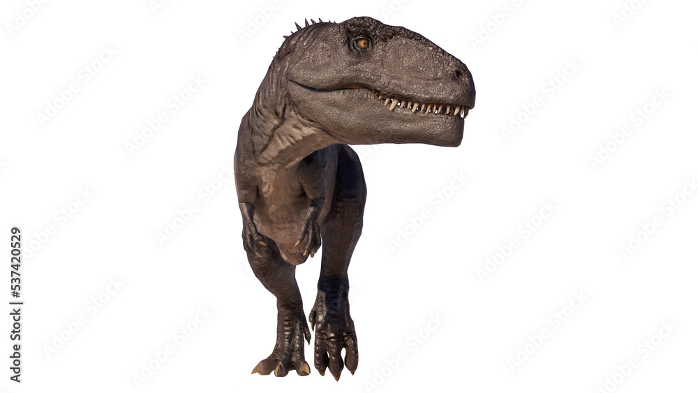 Giganotosaurus dinosaur running and roaring on a blank background PNG ...