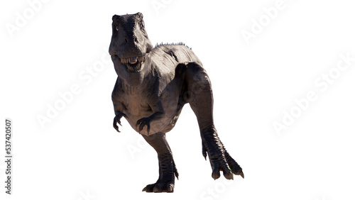 Giganotosaurus dinosaur running and roaring on a blank background PNG © akiratrang