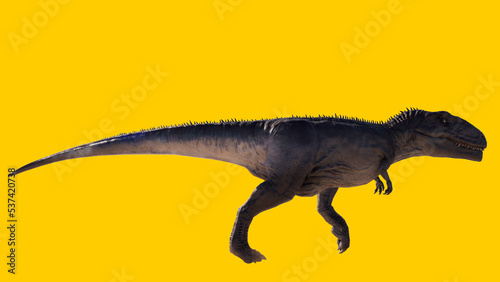 Giganotosaurus dinosaur walking and running roaring isolated on yellow blank background