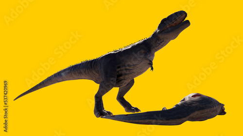 Carnivorous and roaring Giganotosaurus dinosaur isolated on yellow blank background