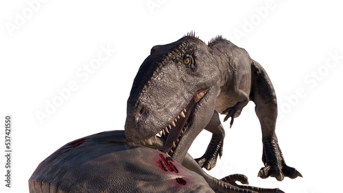 Giganotosaurus dinosaur eats meat and roars on a blank background PNG © akiratrang