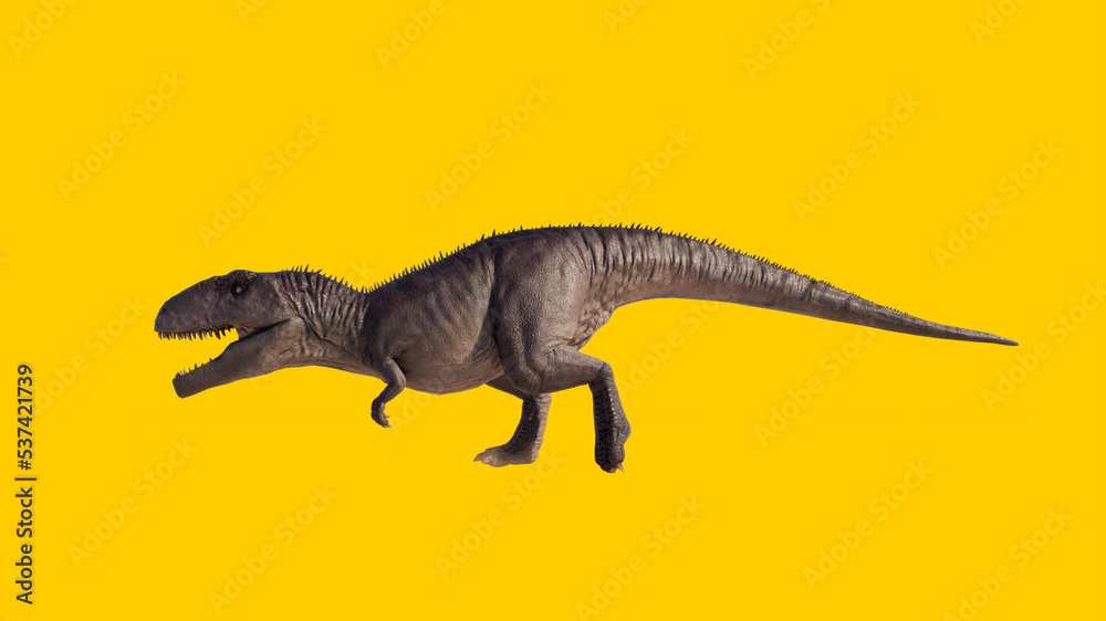 Giganotosaurus dinosaur walking and running roaring isolated on yellow blank background Giganotosaurus dinosaur walking and running roaring isolated on yellow blank background